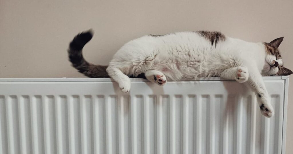 Cat lying on top of a radiator